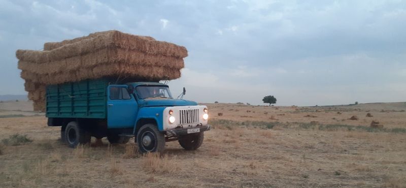 GAZ53 SROCHNA 3500$ holati yaxshi GAZ53 SROCHNA 3500$ holati yaxshi