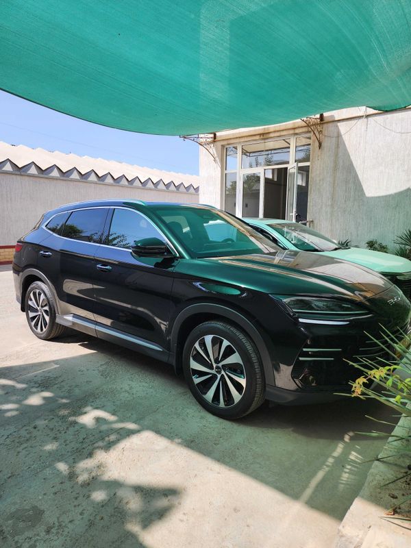 BYD champion gibrid 150km 2024