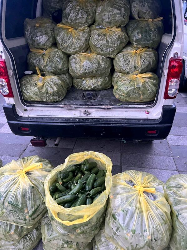 bodirin sotiladi optim orzu sorti