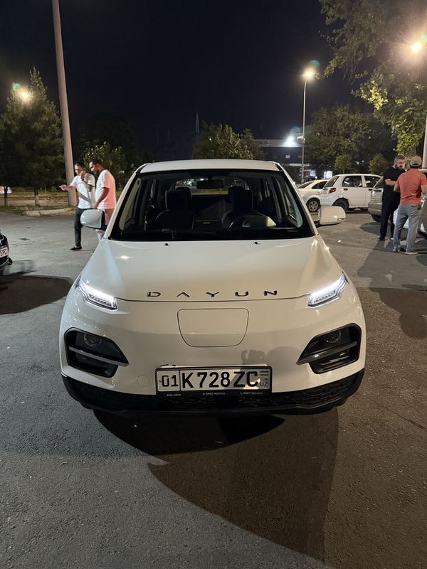 Dayun eltro mobil