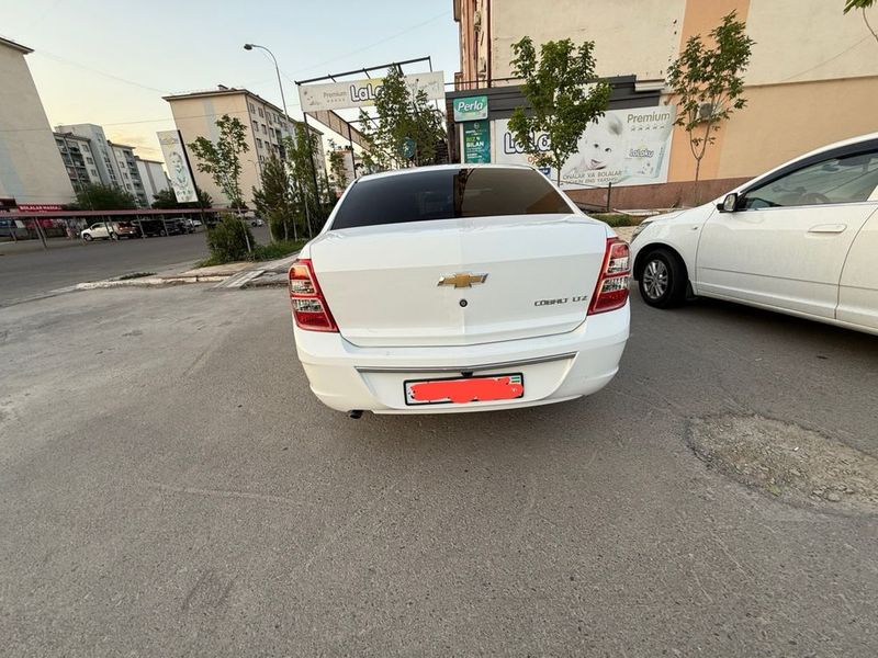 Cobalt ltz 2025 tayyor masla Cobalt ltz 2025 tayyor masla