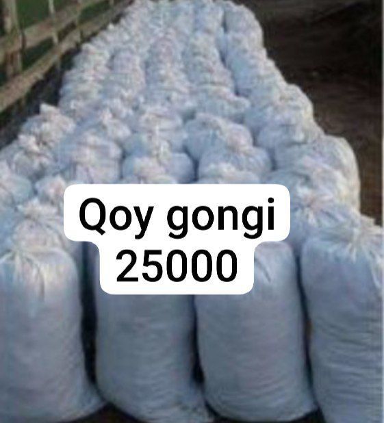 Qoy gongi tozza garantyali Qoy gongi tozza garantyali
