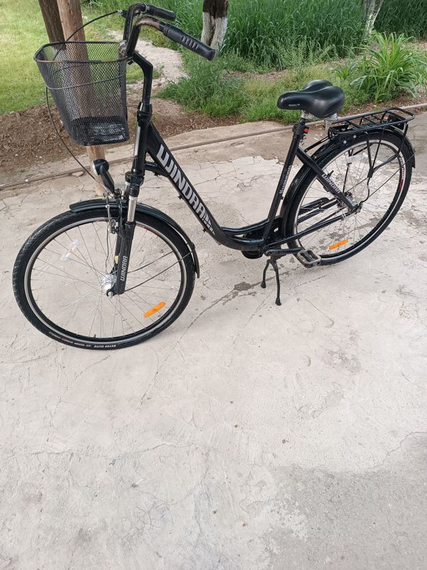 Germaniski velik sotiladi Germaniski velik sotiladi