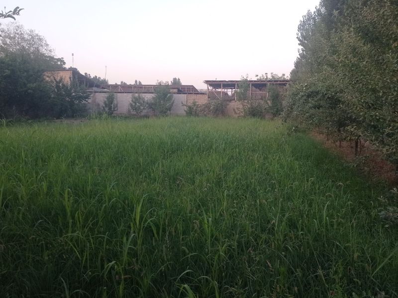 Quruq yer chek sotiladi Quruq yer chek sotiladi