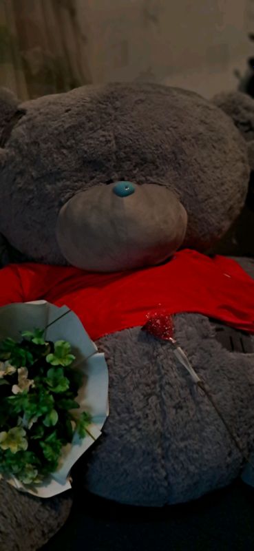 teddy bear 3metr teddy bear 3metr
