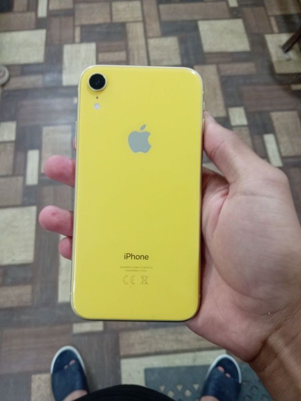 iphon XR dakument karobka full iphon XR dakument karobka full