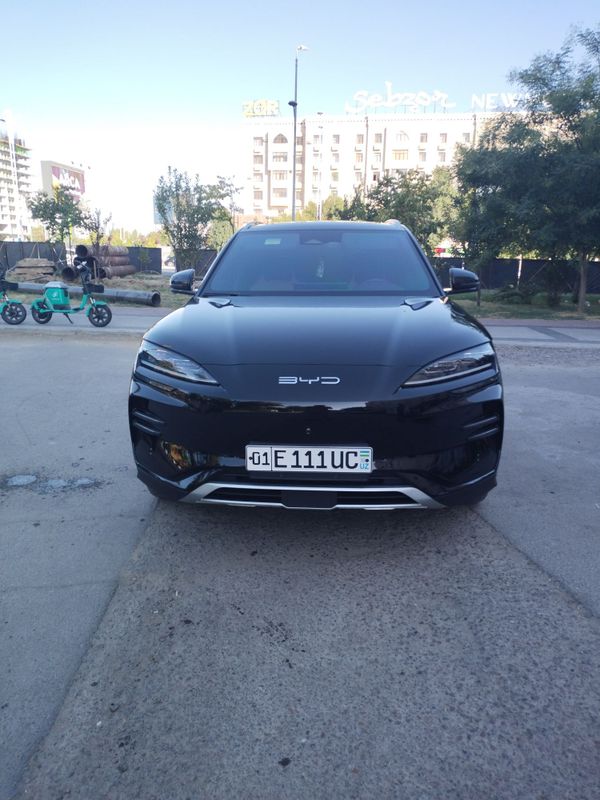 Byd song plus champion 2024 Byd song plus champion 2024