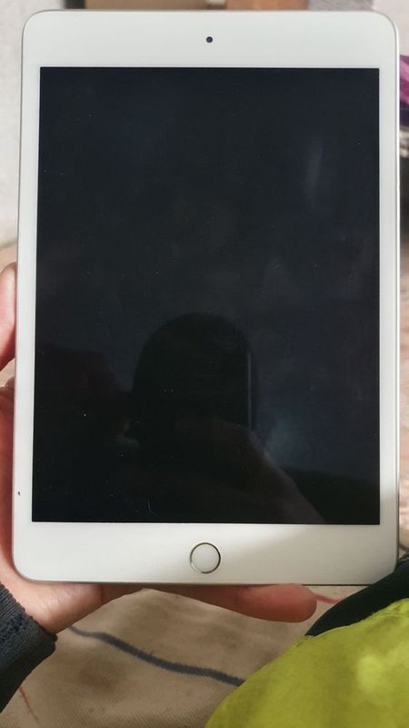 iPad mini 5 256 tali