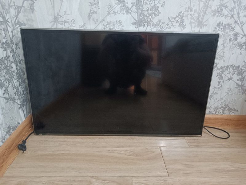 Телевизор принтер прасесор