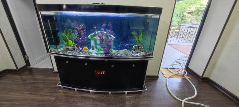 akvarium 500litrli uzunligi 160 sm xolati ideal but butun akvarium 500litrli uzunligi 160 sm xolati ideal but butun