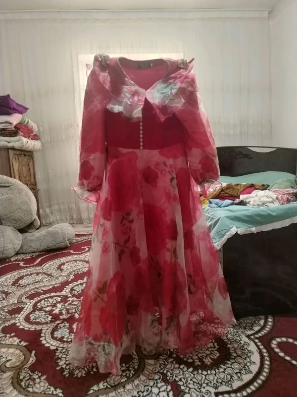 Koylak Koylak