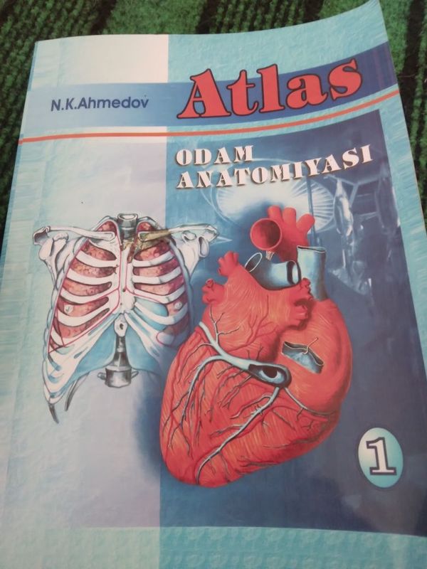 Odam Anatomiyasi Atlas1 yangi Odam Anatomiyasi Atlas1 yangi