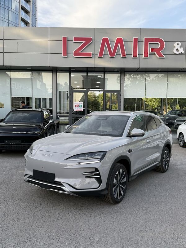Byd chempion Smart 2025 Byd chempion Smart 2025