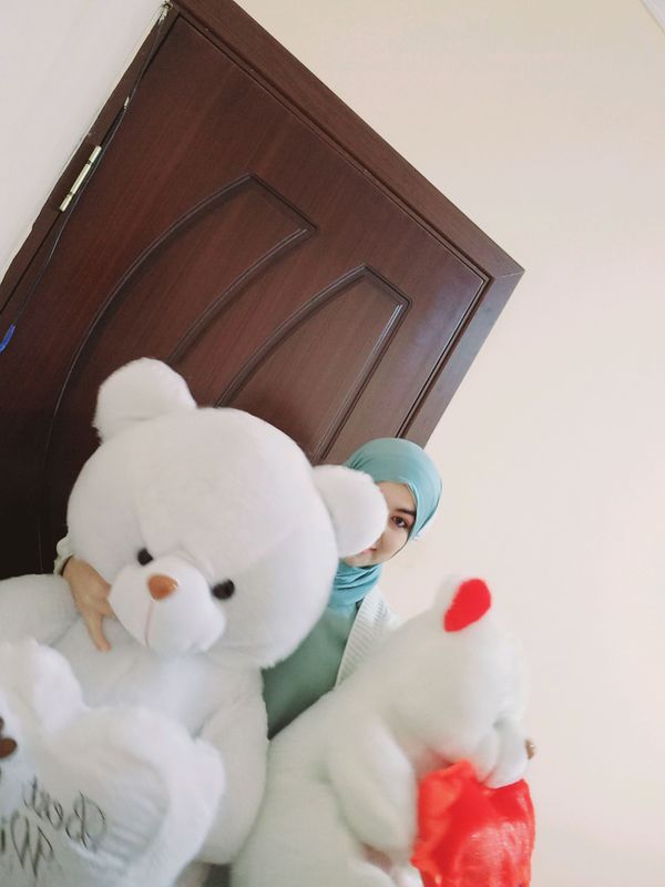 yumshoq ayiqcha yumshoq ayiqcha