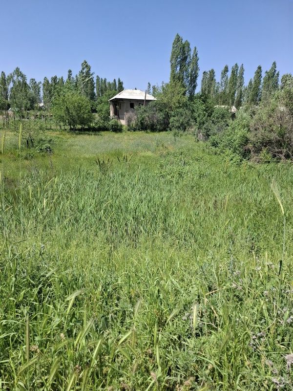 Дача сотилади 5 сотих.