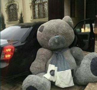 Teddy ayiglarmiz Teddy ayiglarmiz