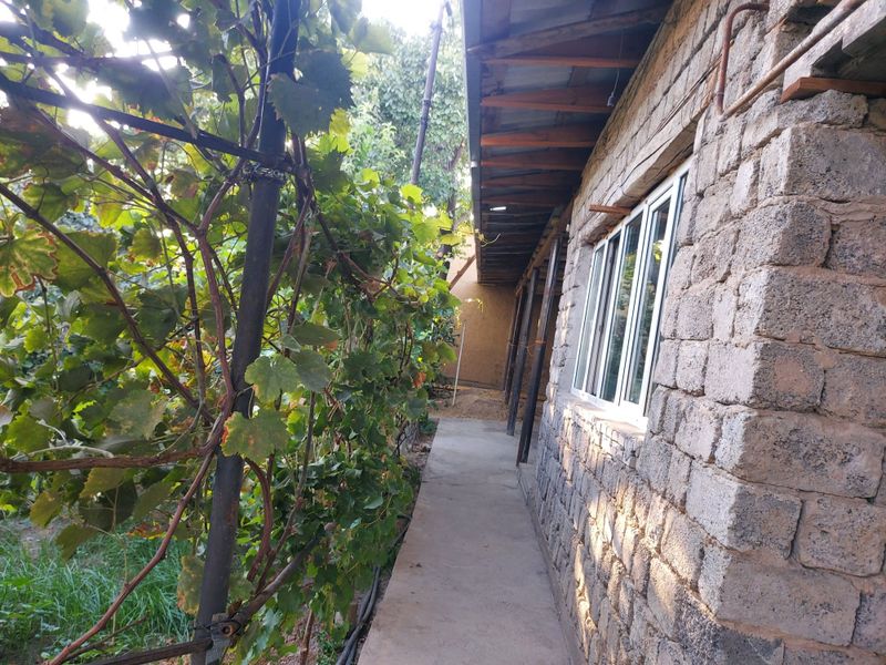 Srochno Shahardan Hovli sotiladi