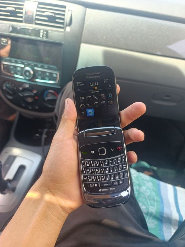 Blackberry legushka Blackberry legushka