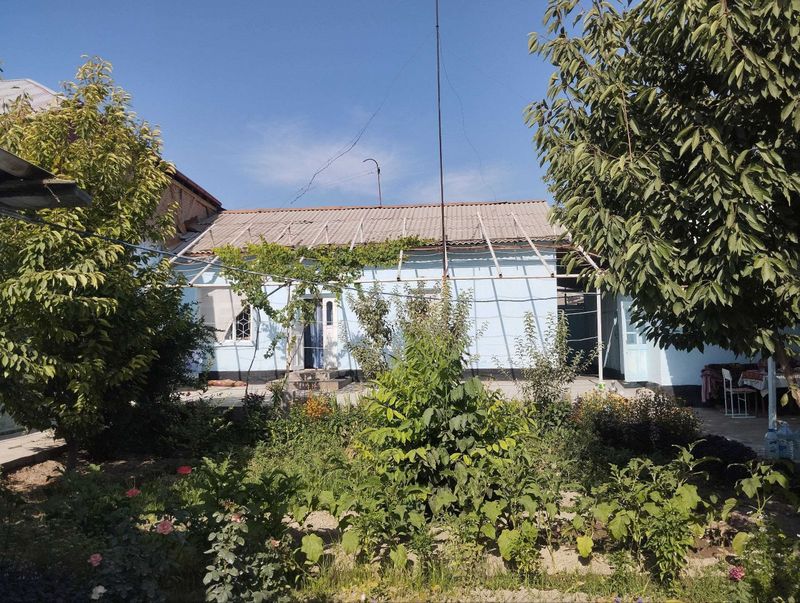 Уй сотилади, Жума шаҳри (Залиния) 8-мактаб олди. 5,6 соток Уй сотилади, Жума шаҳри (Залиния) 8-мактаб олди. 5,6 соток