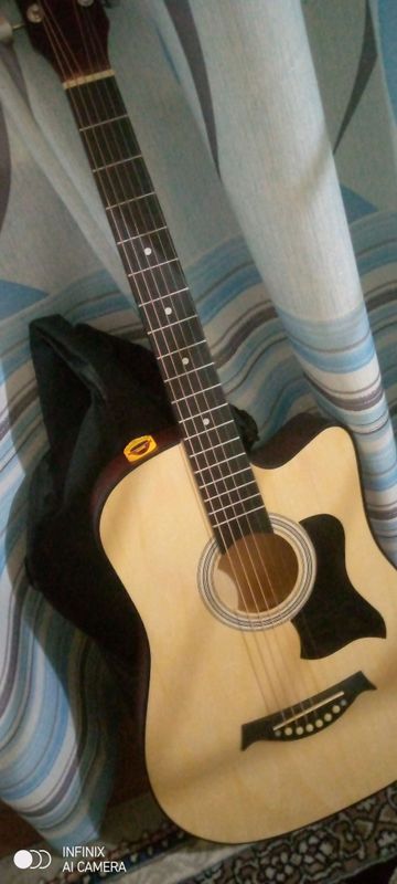 Akustik Gitara