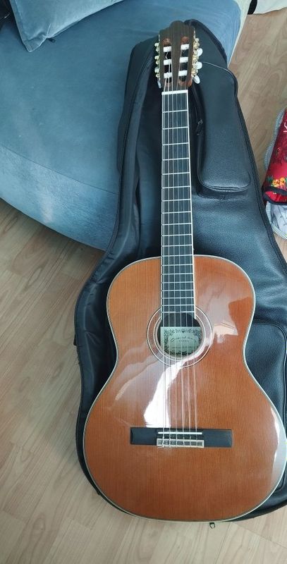 Guitar razmeri 40 chexol ekoleizer fishman