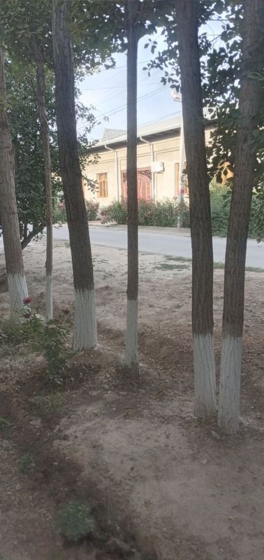 Terak 14mere 4 ta bor 2 kotta 2 ta kichik