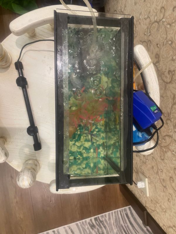 Akvarium 12 litr ideal Akvarium 12 litr ideal