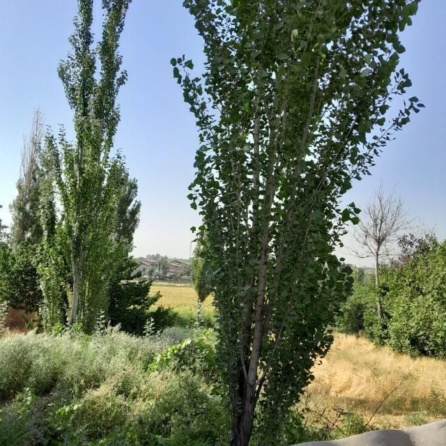 Uyning yarim bo'sh yeri sotiladi Uyning yarim bo'sh yeri sotiladi