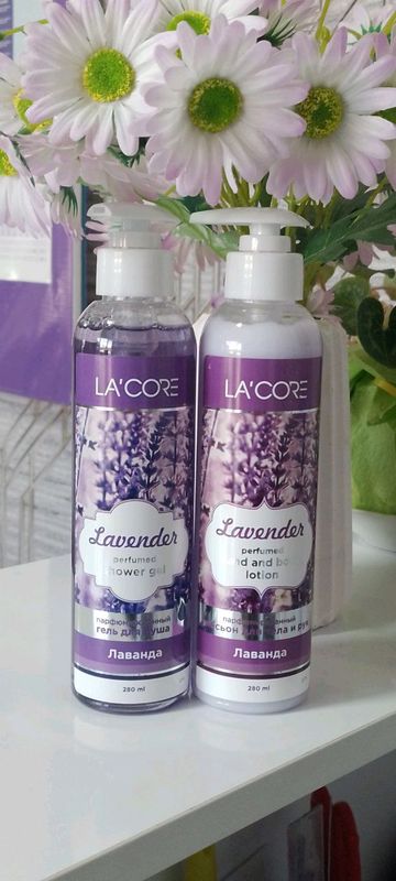 LACORE ANDIJON LACORE ANDIJON