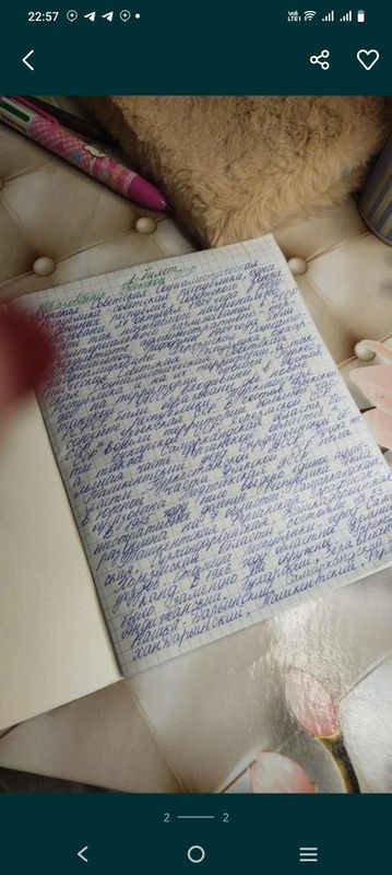 Пишу конспекты, быстро красиво. Пишу конспекты, быстро красиво.
