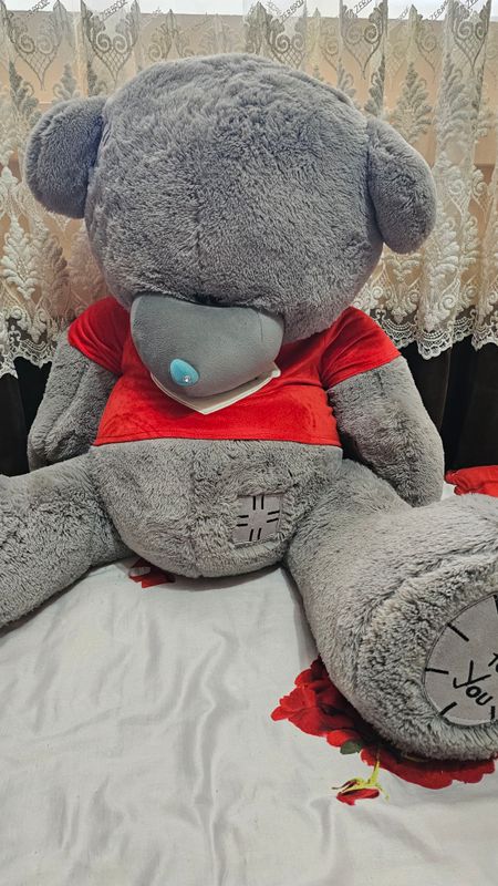 Teddy katta yumshoq o'yinchoq