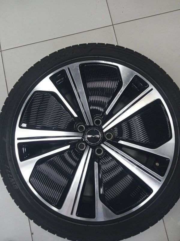 BYD tang zapaska