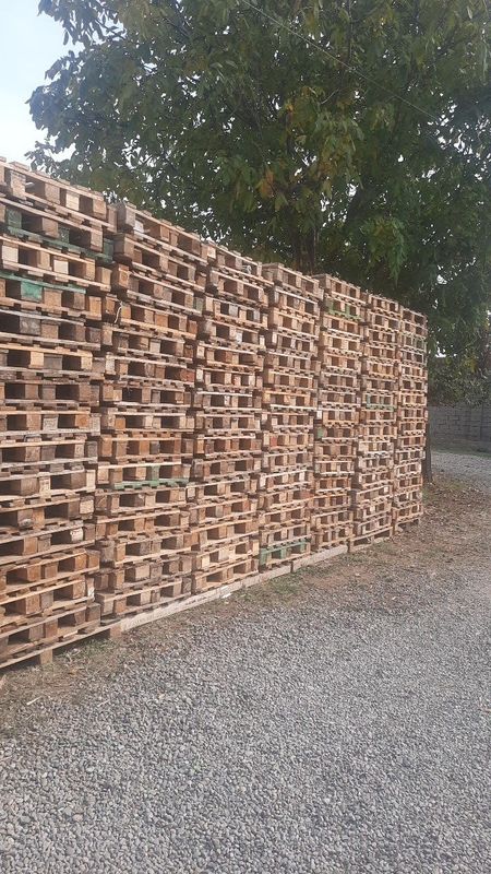 Паддон сотамиз ва оламиз