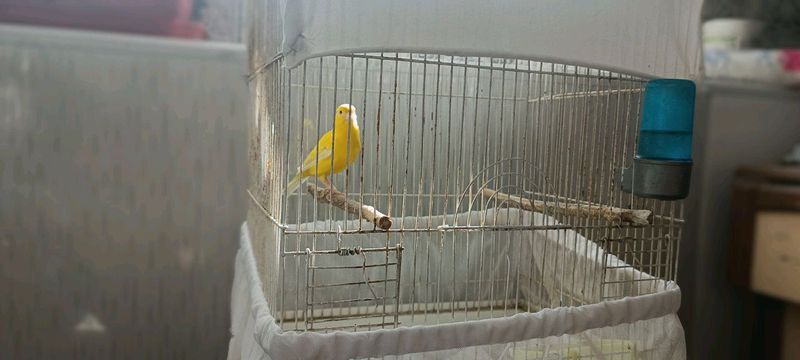 Продам Срочно! Продам Срочно!