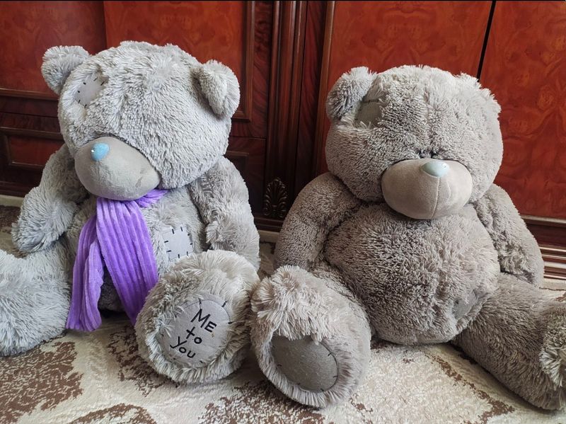 Teddy ayiq holati yaxshi