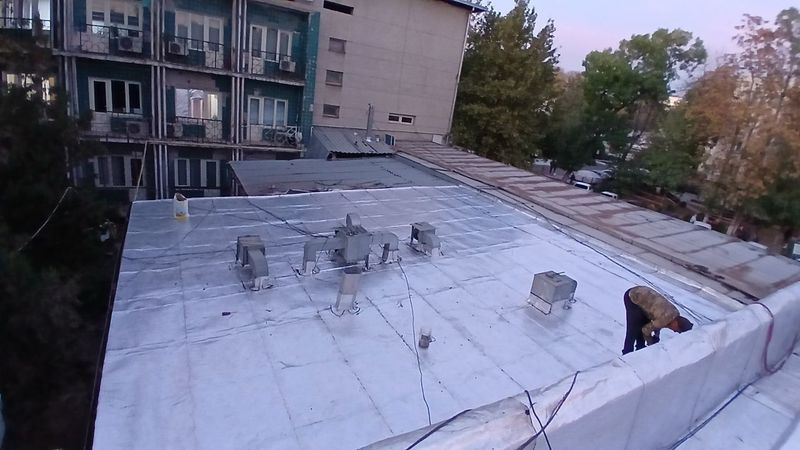 Гидроизаласия фалгаизол Гидроизаласия фалгаизол