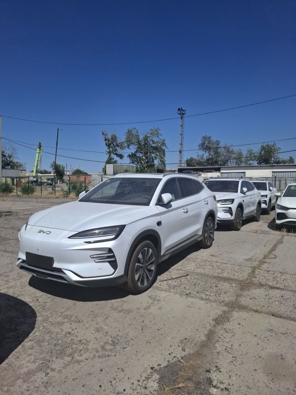 Byd Chempion Smart Toshkenda Tayyor Byd Chempion Smart Toshkenda Tayyor