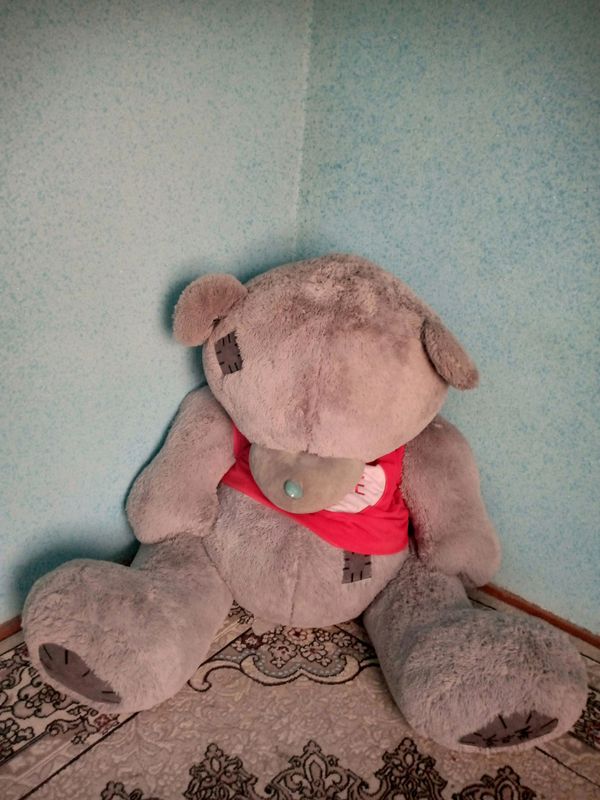 Teddi 2 metr 600 ming kelishiladi Teddi 2 metr 600 ming kelishiladi