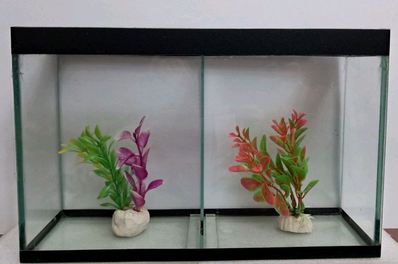 Akvarium sotiladi 2ga bo'linadigan Akvarium sotiladi 2ga bo'linadigan