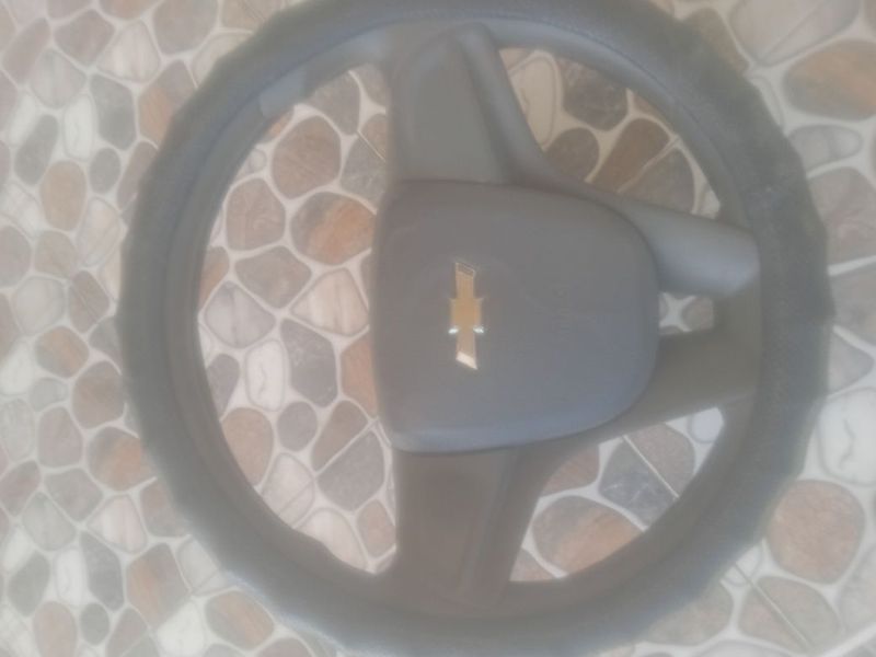 Ro‘l kobalt xolati yaxwi Ro‘l kobalt xolati yaxwi