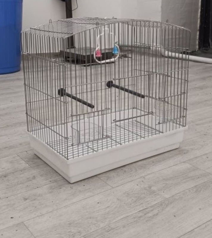 Kletka sotiladi kotta oq rang Kletka sotiladi kotta oq rang