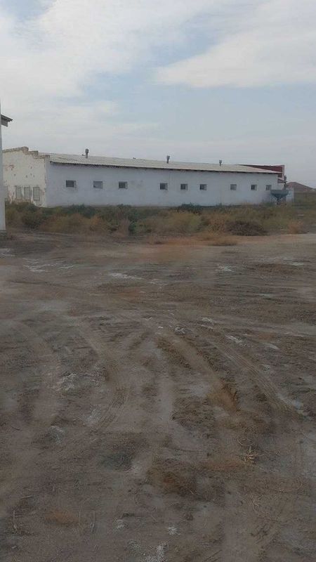 Nukus tumanida Molxona va Tovuqxona binosi sotildi Nukus tumanida Molxona va Tovuqxona binosi sotildi