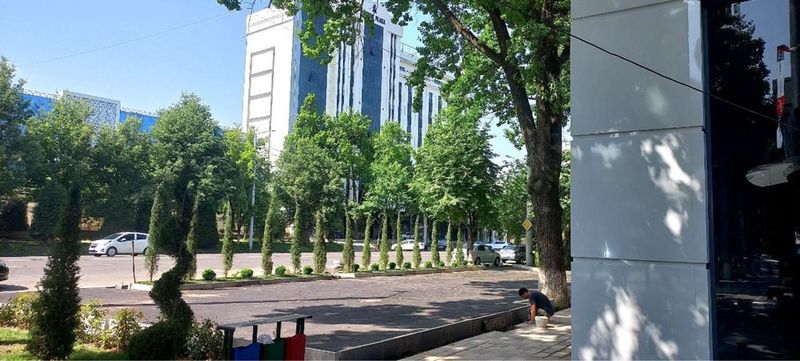 ПРОДАЕТСЯ ЗДАНИЕ! Вдоль дороги! 3-уровня|900 м2 на Ц-6, Минор, Пожарка