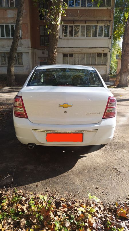 Cobalt mexanika 2019 Cobalt mexanika 2019
