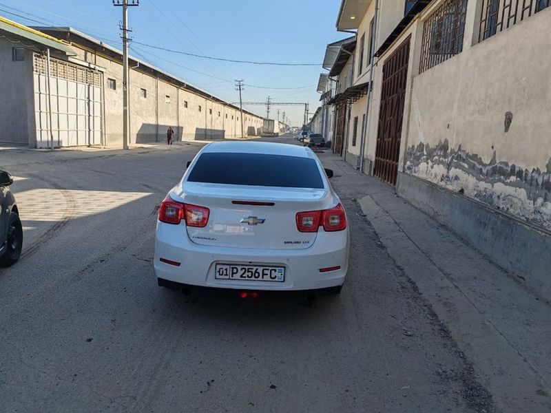 Malibu 1 3- pozitsiya Malibu 1 3- pozitsiya