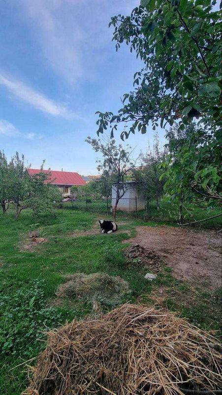Чарвак,Юсуфхона, Продаётся участок 6 соток Чарвак,Юсуфхона, Продаётся участок 6 соток