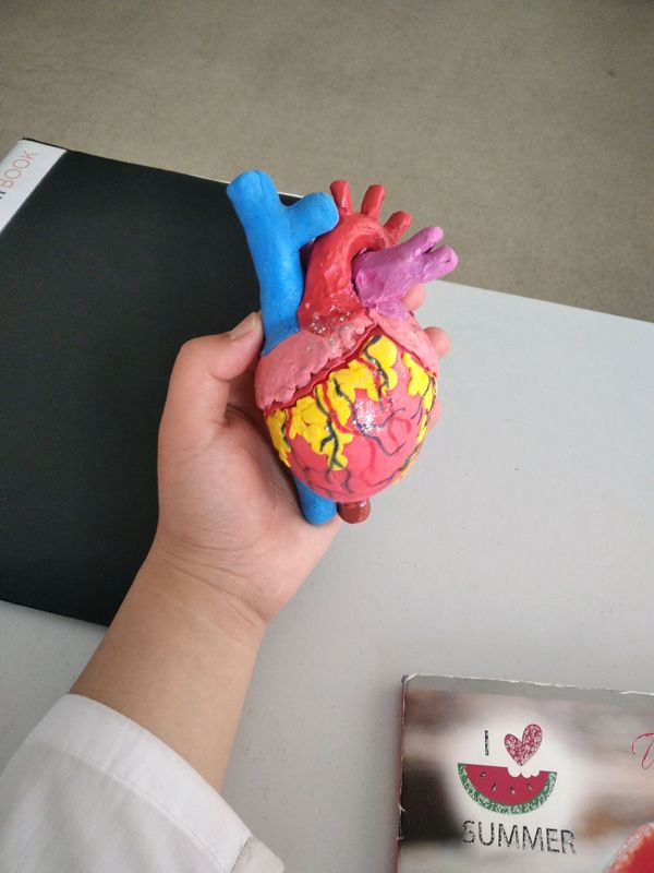 plastilindan yasalgan yurak ,qol mehnati plastilindan yasalgan yurak ,qol mehnati