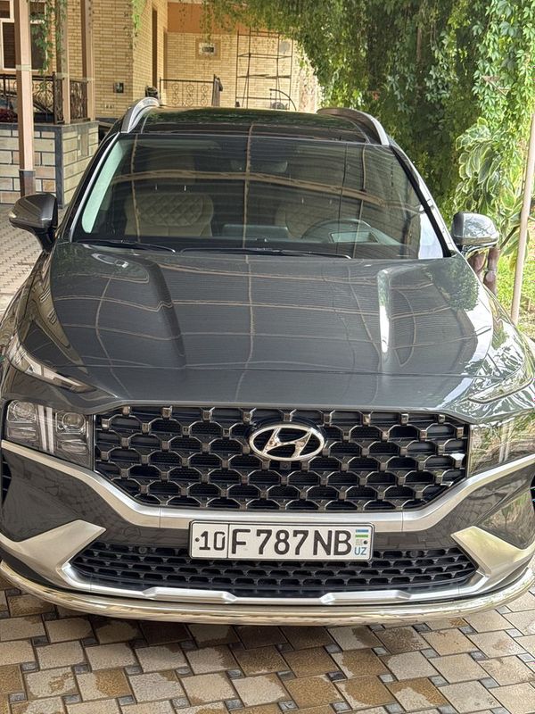 Hyundai Santafe 2022 Hyundai Santafe 2022
