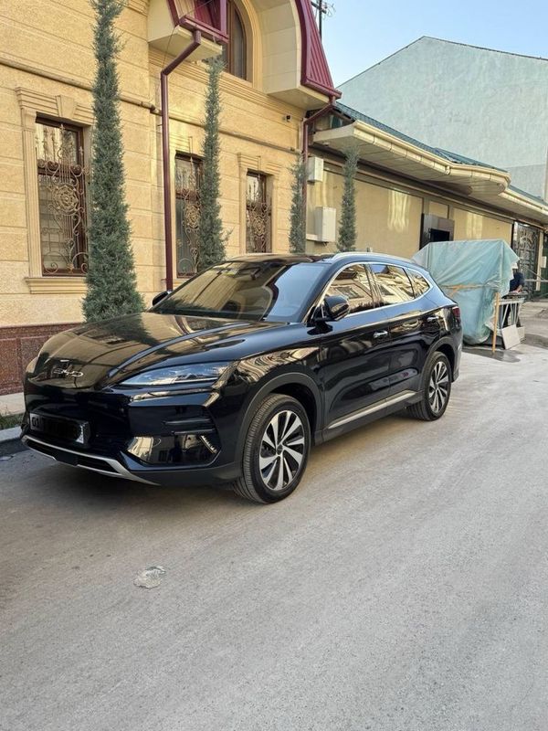 Byd champion restayling 2025 variant Byd champion restayling 2025 variant
