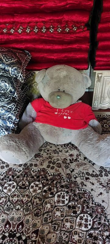 Yumshoq oʻyinchoq teddy ayigʻi Yumshoq oʻyinchoq teddy ayigʻi